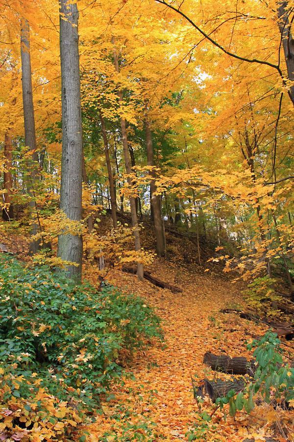Robert Frost Mountain Cabins Middlebury Dış mekan fotoğraf