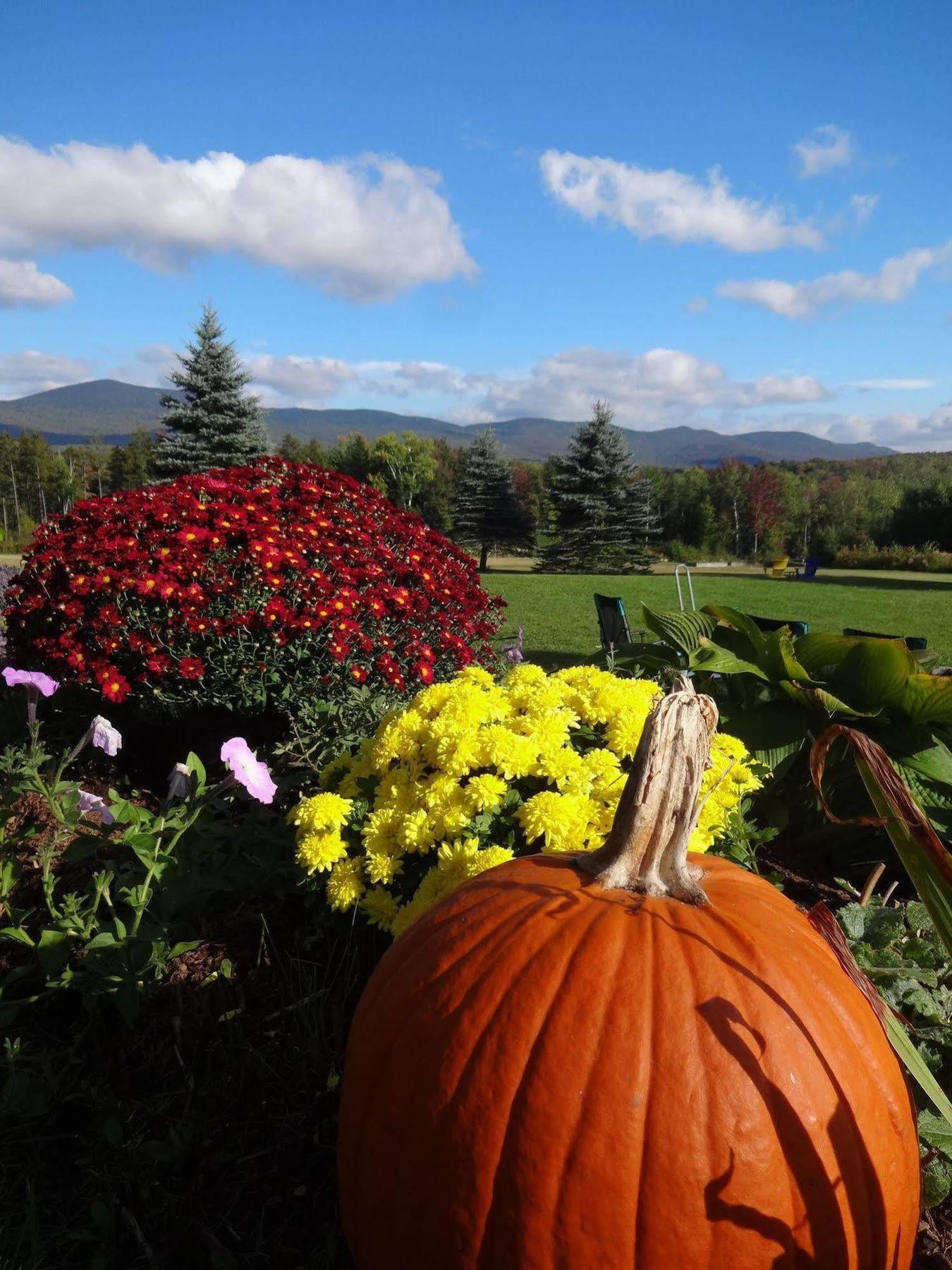 Robert Frost Mountain Cabins Middlebury Dış mekan fotoğraf