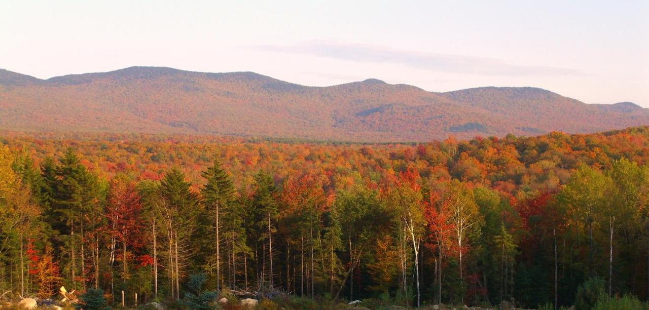 Robert Frost Mountain Cabins Middlebury Dış mekan fotoğraf