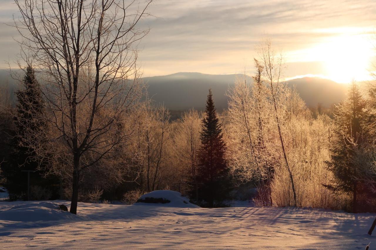 Robert Frost Mountain Cabins Middlebury Dış mekan fotoğraf
